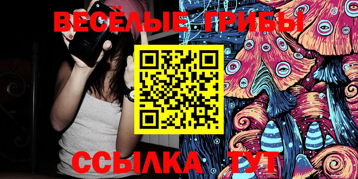 Галлюциногенные грибы Psilocybe Шатура